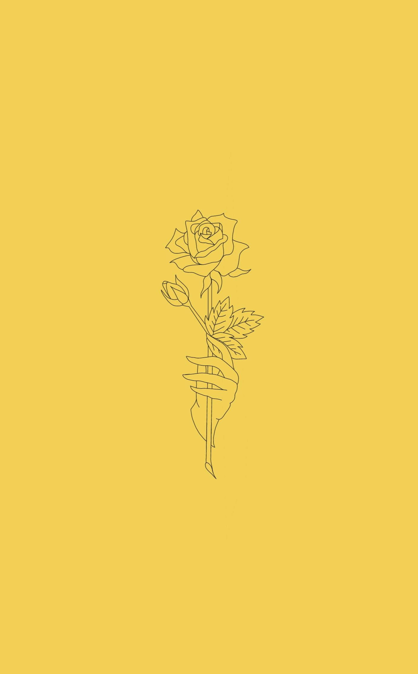 Yellow Rose Aesthetic Sketches Picha ya Ukuta