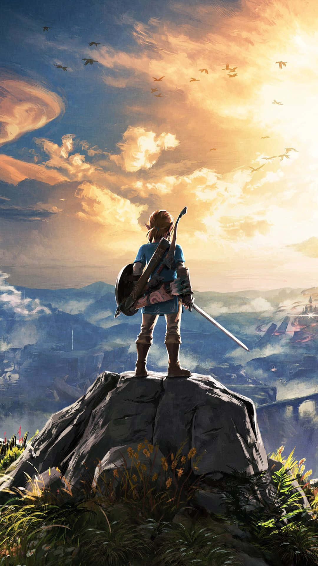 Zelda Botw Link Ame Simama Juu Ya Mwamba Picha ya Ukuta