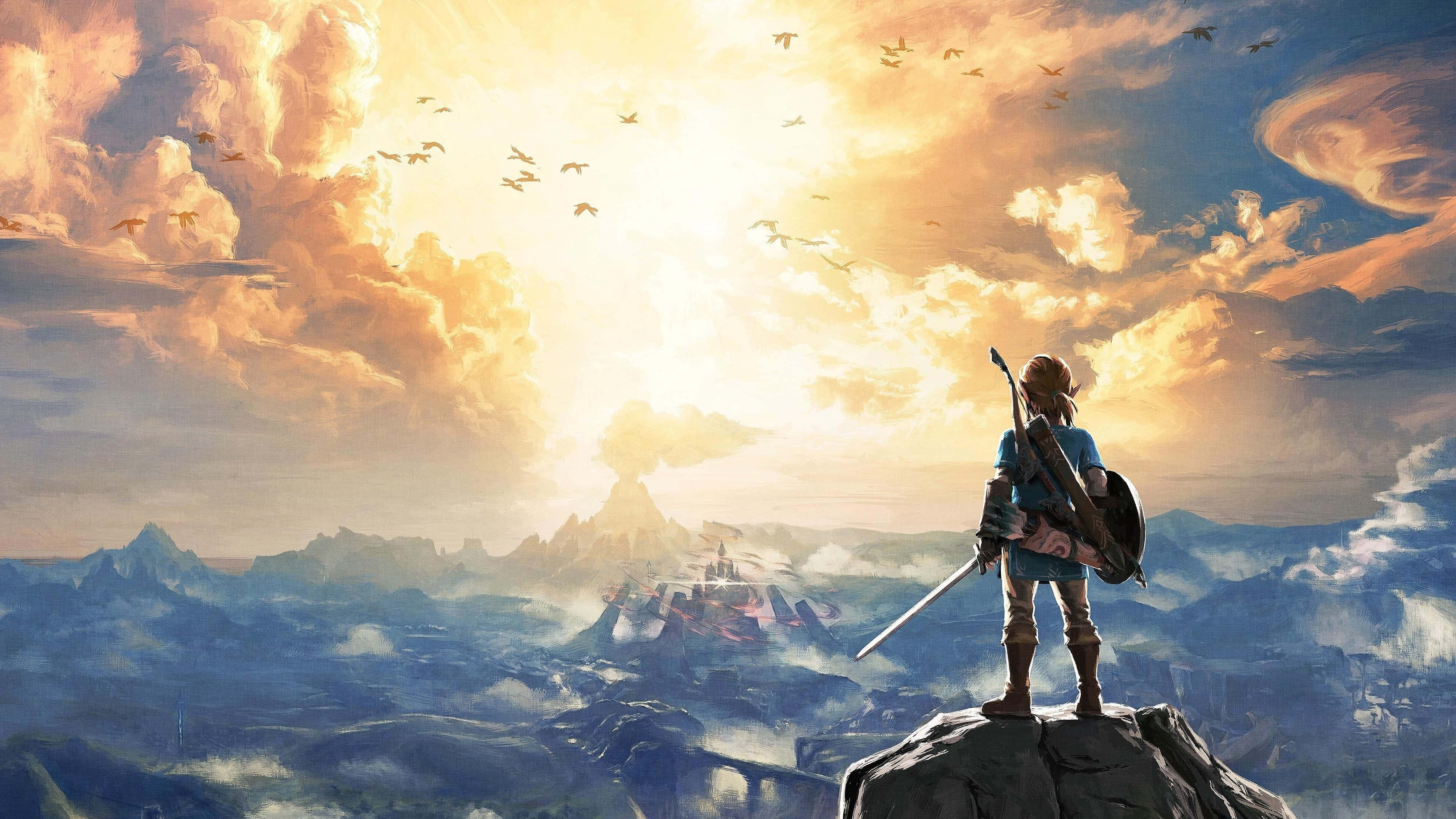 Zelda Breath Of The Wild 4K Link Akiangalia Anga Picha ya Ukuta