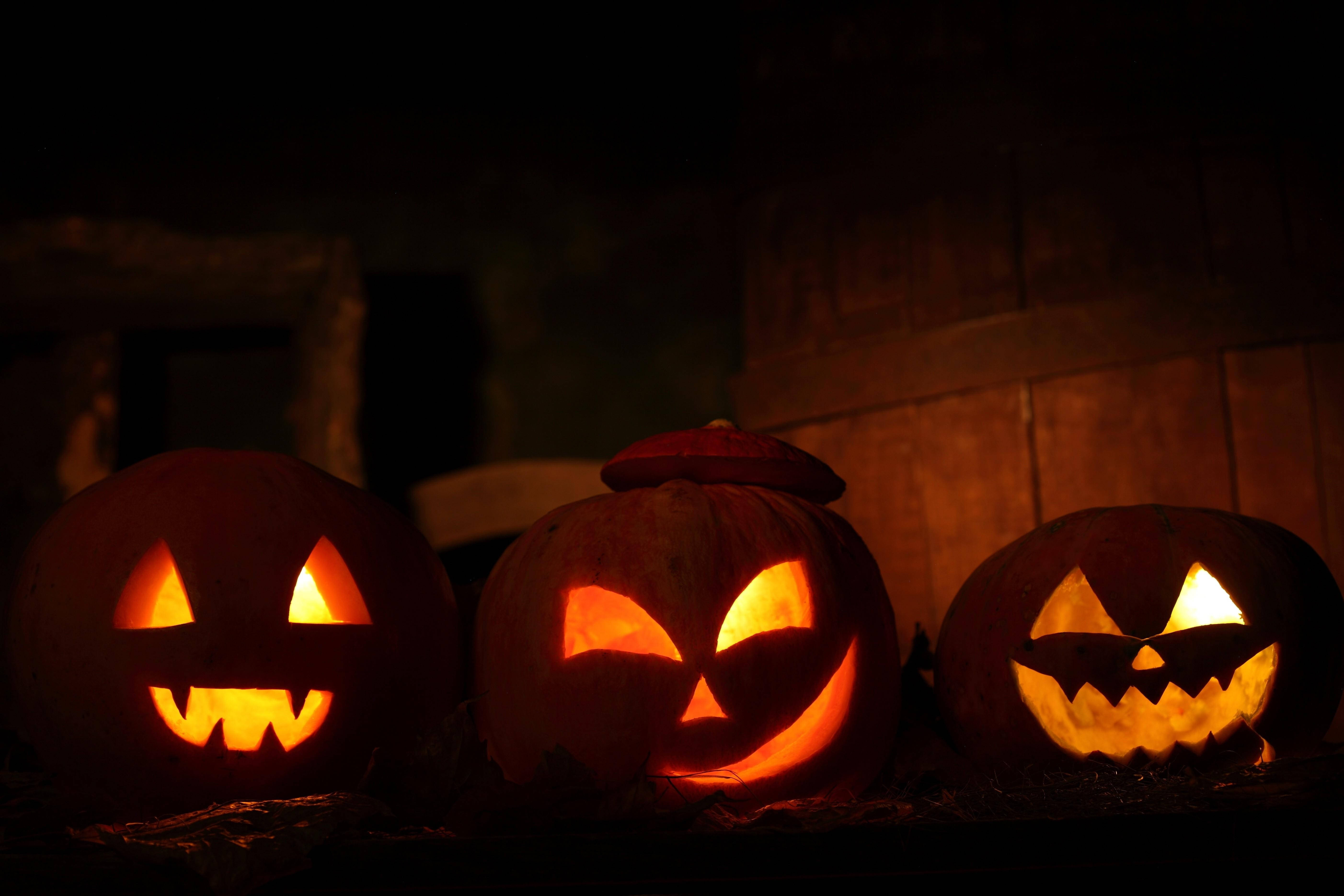 Zinawaswa kwa wakati muafaka wa Halloween, maboga yaliyochongwa yakiangazwa na mwezi mpevu Picha ya Ukuta