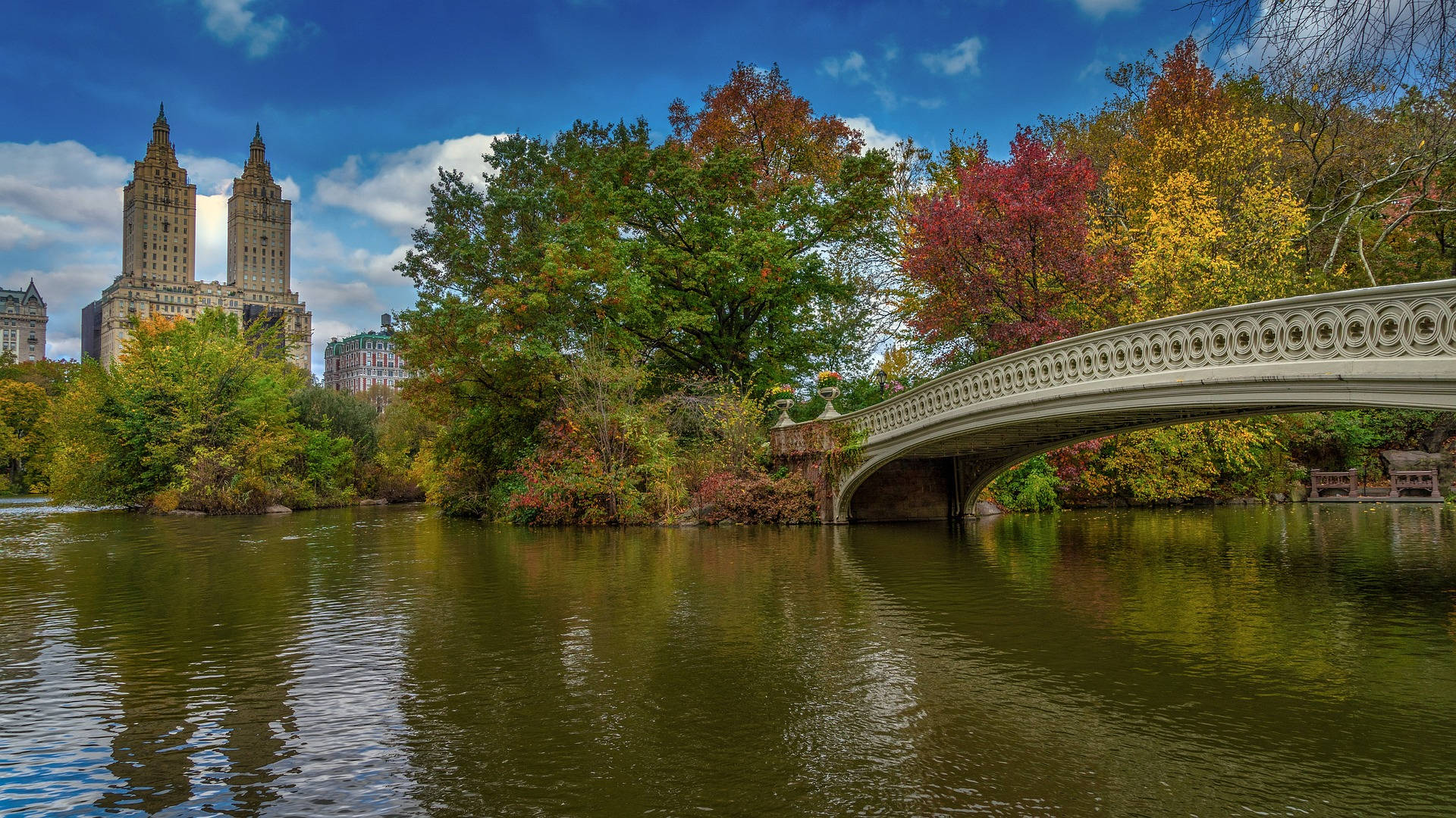 Ziwa la Central Park lenye Daraja Picha ya Ukuta