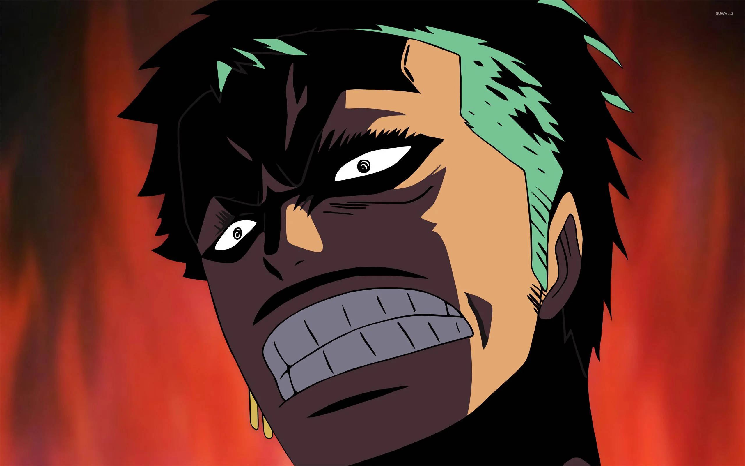 Zoro wa One Piece wa Anime wa Kuchekesha Picha ya Ukuta