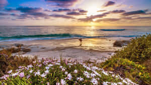 1440p Malibu Background — Mandhari ya bahari Picha ya Ukuta