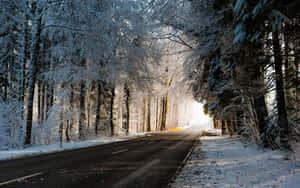 A captivating view of an icy road surrounded by snowy trees — MacBook Pro 13 Picha ya Ukuta