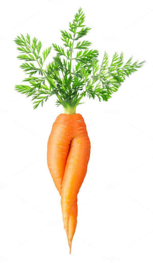 A freshly picked orange carrot — Galaxy Tab A11 Picha ya Ukuta