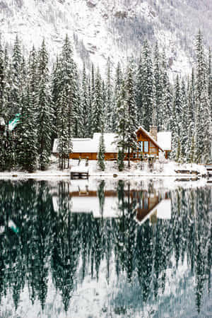Snow pictures — Huawei MatePad Edge Picha ya Ukuta
