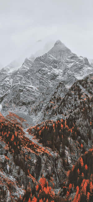 1170x2532 — Huawei nova 15 Ultra Picha ya Ukuta