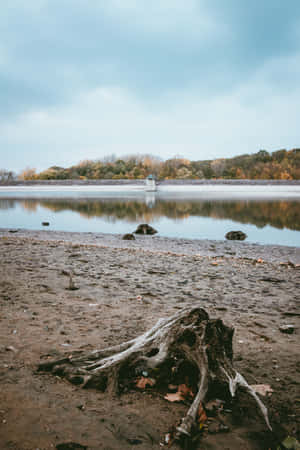 river background — Xiaomi Pad Picha ya Ukuta