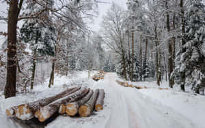 A picturesque and icy winter road amidst snow-covered trees — MacBook Pro 13 Picha ya Ukuta