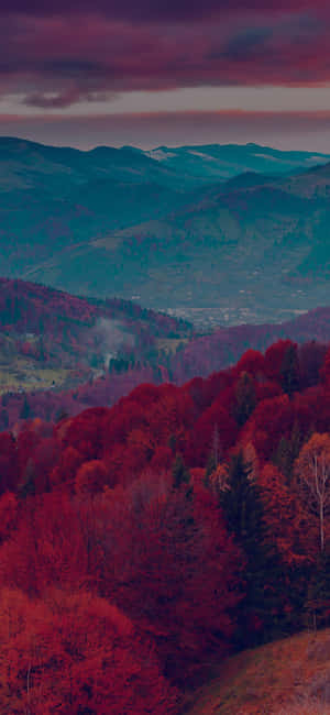 Red Tree — Redmi Note 14S Picha ya Ukuta