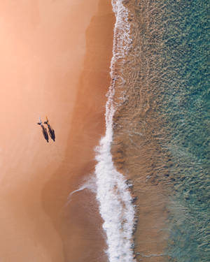 Aerial View Bondi Beach Australia wallpaper