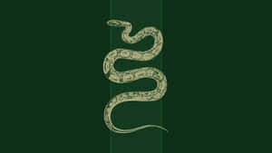 Picha za Aesthetic Slytherin