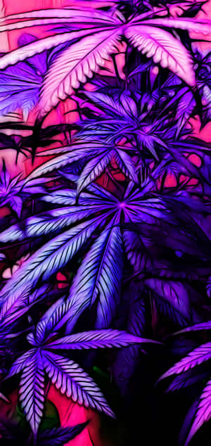 Picha za Aesthetic za Violet — Nubia Neo 5 Picha ya Ukuta