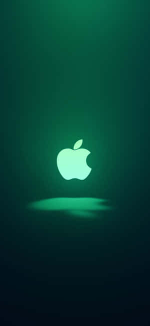 Iphone 11 Kijani — iPhone 13 Pro Max Picha ya Ukuta