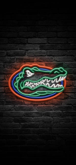 Tapeta la Alama ya Florida Gators kwa Nuru za Neon. — iPhone 11 Pro Picha ya Ukuta
