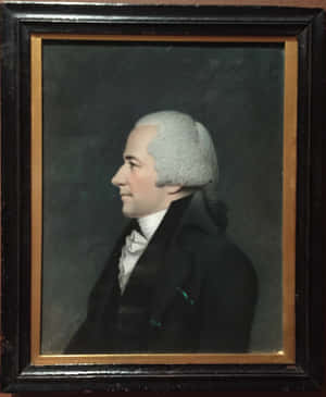 Picha za Alexander Hamilton — Pixel Fold Picha ya Ukuta
