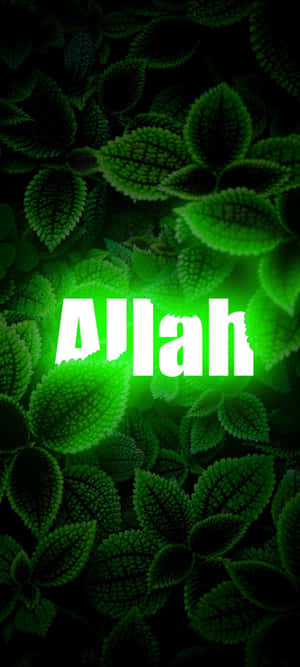 Allah background — Galaxy F56 Picha ya Ukuta