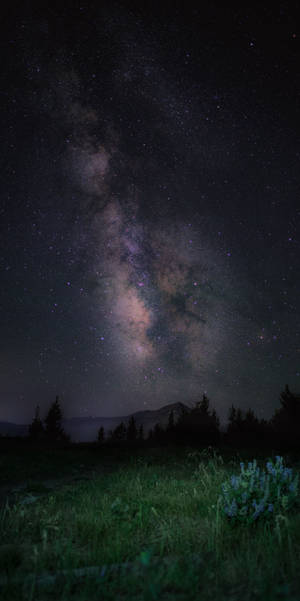 Anga la Milky Way Oled iPhone — OLED Picha ya Ukuta