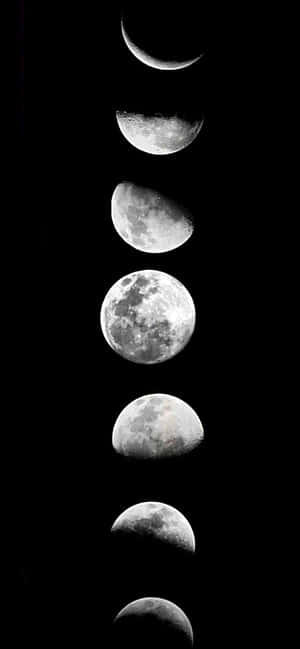 1284x2778 — HMD Picha ya Ukuta