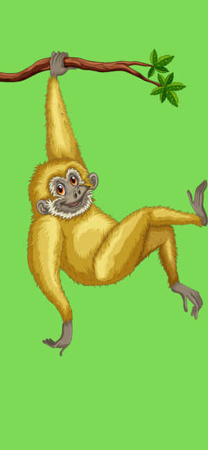 Iphone Xs Max Gibbon Background — Oppo F33 Picha ya Ukuta