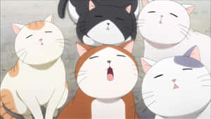 Picha za Anime Cat — Paka wa anime Picha ya Ukuta