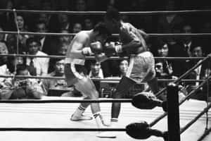 Antonio Cervantes Dhidi ya Yasuaki Kadota wa Japani — Japan GIF Picha ya Ukuta