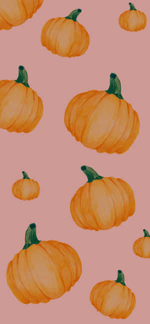 Pink Pumpkin — Motorola Edge 70 Picha ya Ukuta