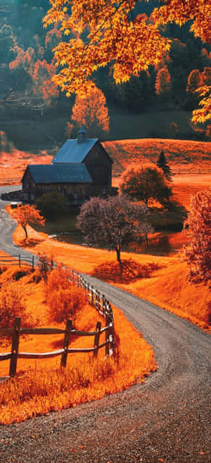 Beautiful Fall Iphone — Moto E14 Picha ya Ukuta
