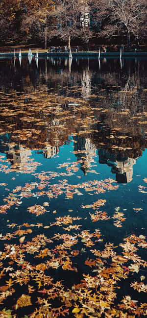 Calm Mobile — iPhone X Picha ya Ukuta