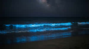Bahari ya usiku ya 4K, mawimbi ya bluu usiku, ukuta wa bahari usiku, pwani ya Milky Way, pwani inayong'aa, mawimbi ya bioluminescent, Asili 4k, Asili, Pwani, Mandhari ya Bahari, Bahari