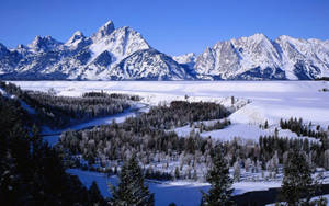 Baridi Grand Teton National Park wallpaper