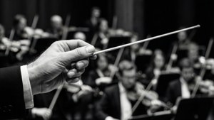 Picha ya karibu ya baton ya kondakta yenye mdundo na orchestra, kwa rangi zaweza na nyeupe. — Muziki lenzi Picha ya Ukuta