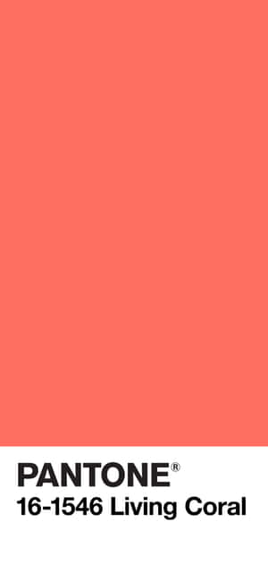 coral Background — Motorola ThinkPhone Picha ya Ukuta
