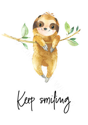 Beba Sloth Kipekee Smile wallpaper — OnePlus Pad Picha ya Ukuta