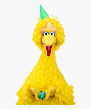 Big Bird Happy Birthday wallpaper — Motorola Razr Ultra 2025 Picha ya Ukuta
