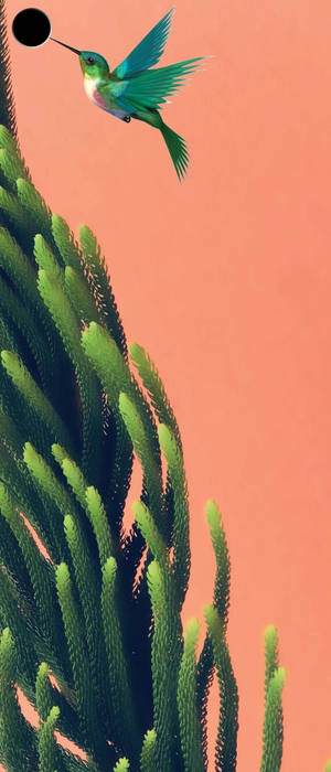 Bird And Plants Punch Hole 4K — Sony Xperia Picha ya Ukuta