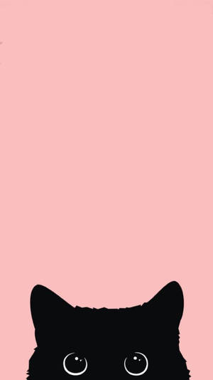 Black cat iPhone 12 wallpaper — iPhone 12 Picha ya Ukuta