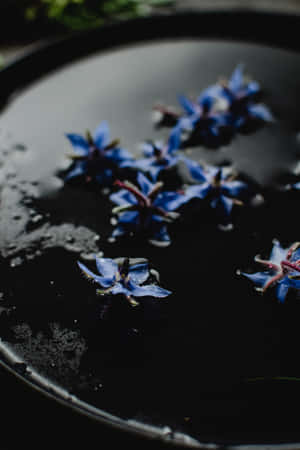 Borage Blue Flowers Phone — Huawei MatePad 11.5 (2026) Picha ya Ukuta