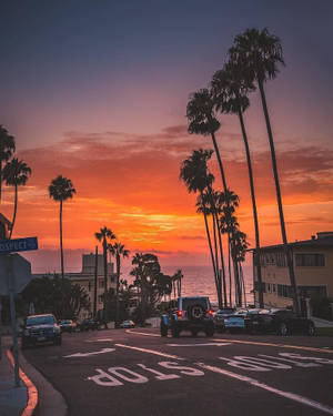 Boulevard ya Mawio ya Machungwa wallpaper
