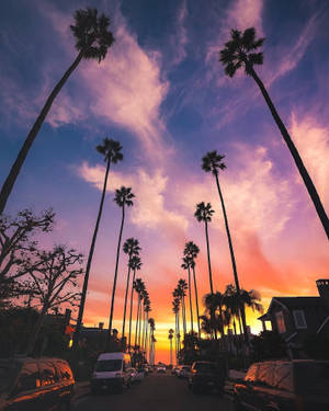 Boulevard ya Sunset ya Kupendeza kwa tapeli