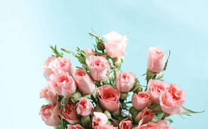 Bouquet la Maua katika Aesthetic ya Pink Pastel