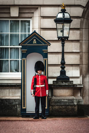 Buckingham Palace Royal Guard — Huawei MatePad Air (2026) Picha ya Ukuta