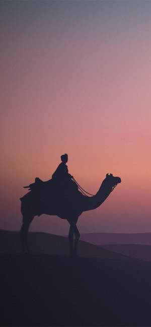 Camel in purple scrim wallpaper — iPhone 16 Plus Picha ya Ukuta