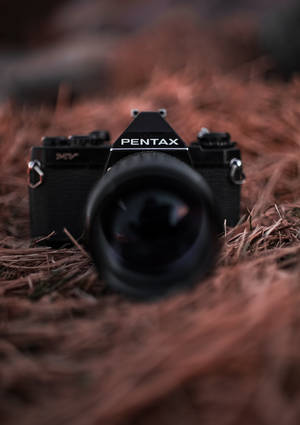 Picha ya kamera ya Pentax nyeusi kwenye wallpaper ya viota vya mwanzi. — OnePlus Pad Picha ya Ukuta
