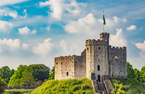 Cardiff Castle Ikizungukwa na Miti