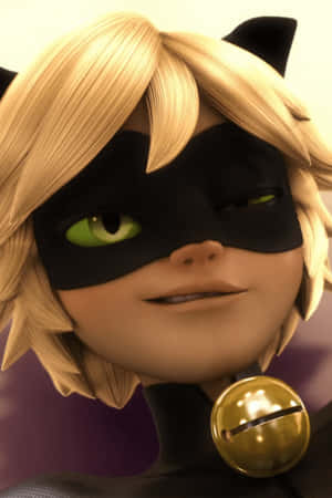 Picha za Cat Noir