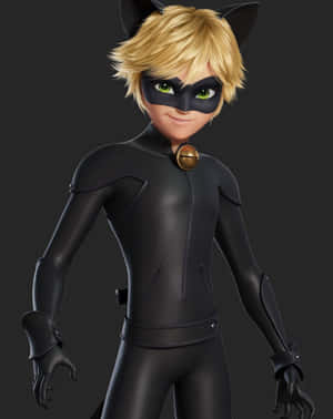 Picha za Cat Noir