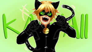 Picha za Cat Noir