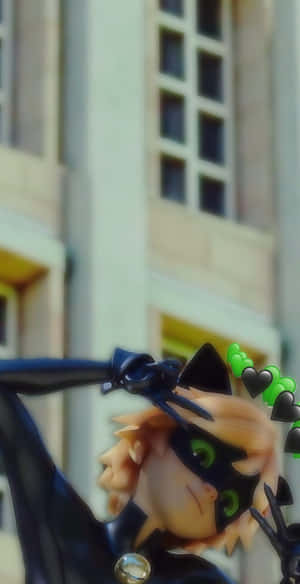 Picha za Cat Noir