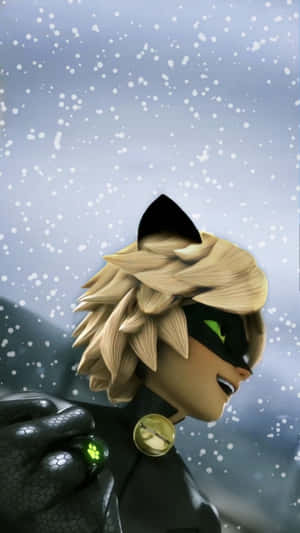 Picha za Cat Noir